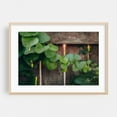 thumbnail image 2 of VINE CATCHING SUNSET - Photography Botanical Nature Rustic Unframed Wall Art Print 24 x 36 inches, 2 of 7