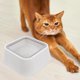 thumbnail image 4 of KAKOWELY Water Bowl for Cats No Spilling with Floating ABS Mechanism White Easy to Clean, 4 of 8