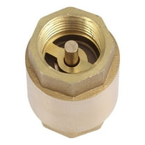 Brass Coupler Inline Check Valve Anti Back Flow for Fuel Hose Backflow Preventer