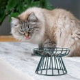 thumbnail image 5 of Pet Feeder Stand with Metal Base for Cats and Small Dogs, Anti-Tipping Raised Food Bowl Holder for Better Digestion, 5 of 5