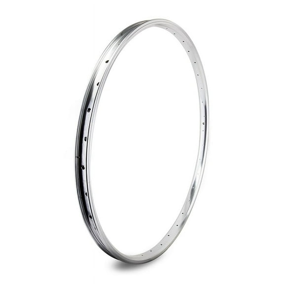 Se Bikes J24SG SE Bikes 29in J24SG Silver 36