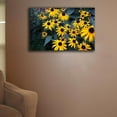 thumbnail image 2 of Baker "Bunch of Daisies" Canvas Print, 2 of 5
