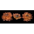 thumbnail image 2 of Frank, Assaf 32x15 Gold Ornate Wood Framed with Double Matting Museum Art Print Titled - Three Dahlia flowers, 2 of 4