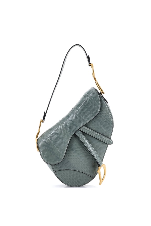 Pre-Owned Saddle Handbag Python Medium By Rebag