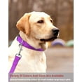 thumbnail image 7 of Mumup Reflective Dog Collar with Buckle Adjustable Safety Nylon Collars for Small Medium Large Dogs, 7 of 7