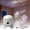 Christmas, variant on Dynamic Rotating Led Projector Light, 5d Holographic Ocean Wave Night Light with Adjustable Brightness, Multi-Angle Base, Ceiling Mood Lamp for Bedroom Home Theater (Christmas,USB-Powered)