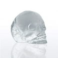 thumbnail image 3 of Frieling Cranio Silicone Ice Cube Tray, 3 of 4
