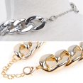 thumbnail image 5 of Pet Dog Adjustable Gold Silver Plated Chain Collar Safety Control Necklace Gift, 5 of 5
