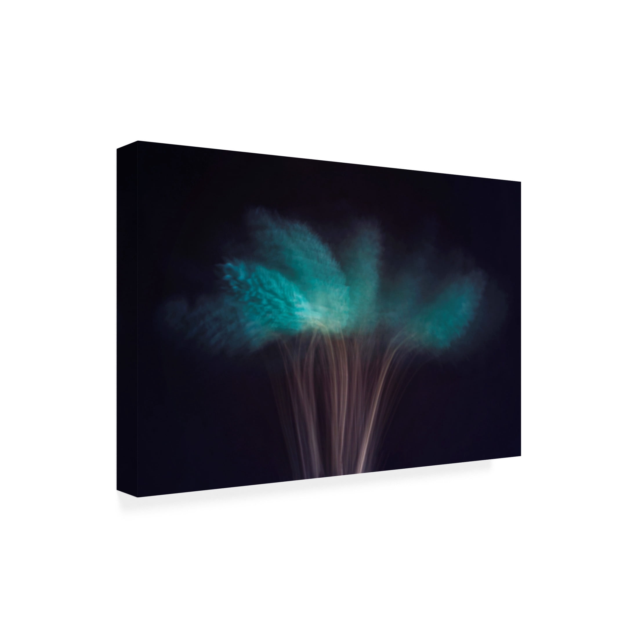Trademark Fine Art Cicek Kiral Visions In The Dark Canvas Wall Art