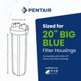 thumbnail image 5 of Pentair Pentek Big Blue 20" Whole House Water Filter Housing with Pressure Relief, 1" NPT Ports, 4.5" Cartridge, Model 150233, Blue/Black, 5 of 5