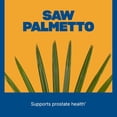 thumbnail image 4 of Swisse Men's Multivitamin for Men 50 & Over, Supports Overall Wellbeing, 60 Tablets, 4 of 9