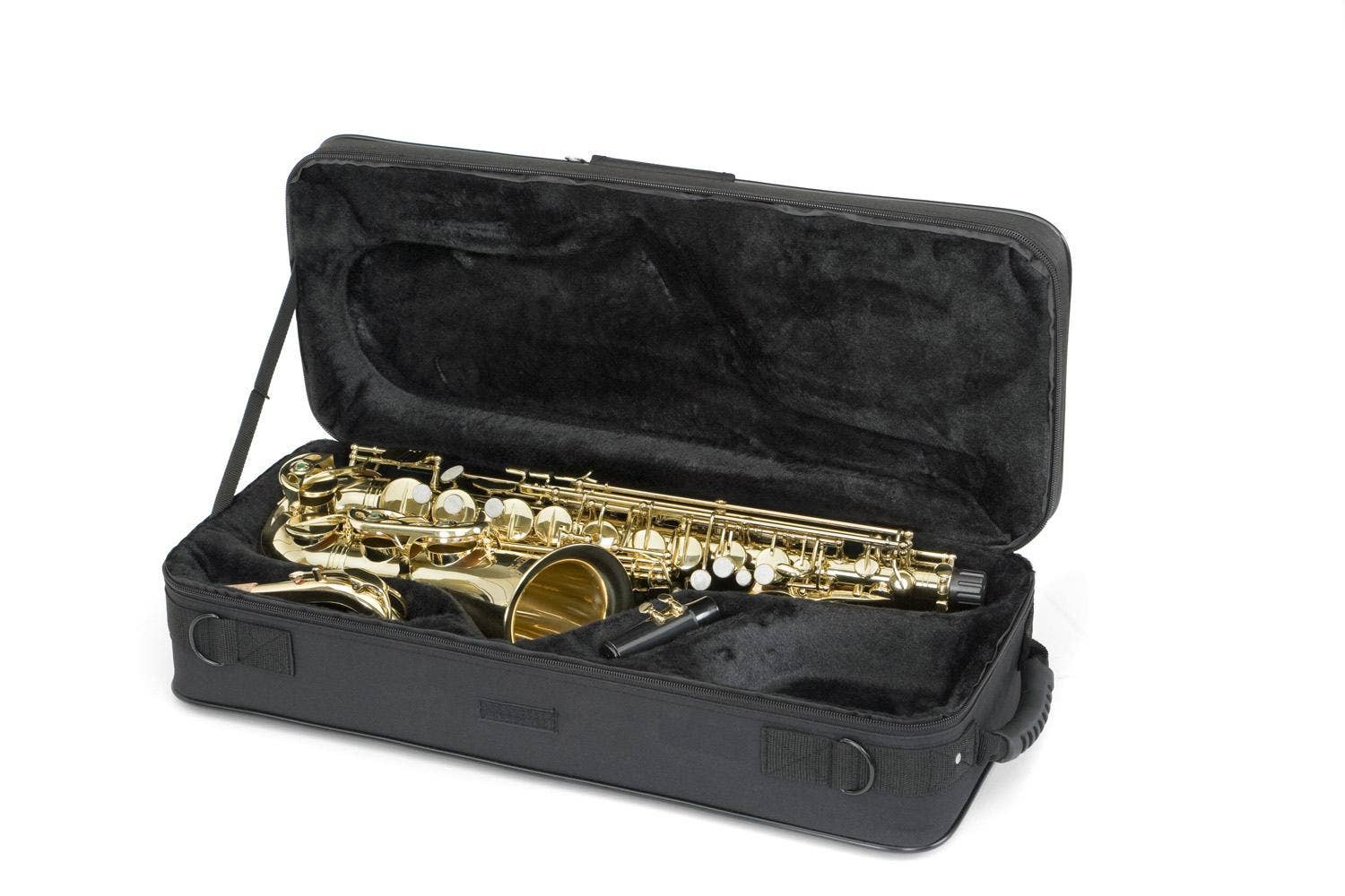 290AL Alto Saxophone Outfit