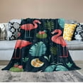 thumbnail image 2 of ARISTURING  Hooded Blanket Pineapples Flamingo - Wearable Soft Fleece Blankets and Throws for Couch Kids Adults Warm Winter, 2 of 6