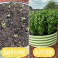 thumbnail image 5 of Coop Gro Organic Chicken Litter Fertilizer, 25 lb with OMRI-Certification for Plants and Gardens, 5 of 6
