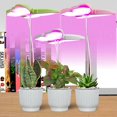 thumbnail image 5 of Led Grow Light For Plants And Flowers - Full Spectrum Usb Dimmable Timing Lamp With 3/9/12h Timer And 10 Brightness Levels, Red/blue Light Modes 26-27, 5 of 5