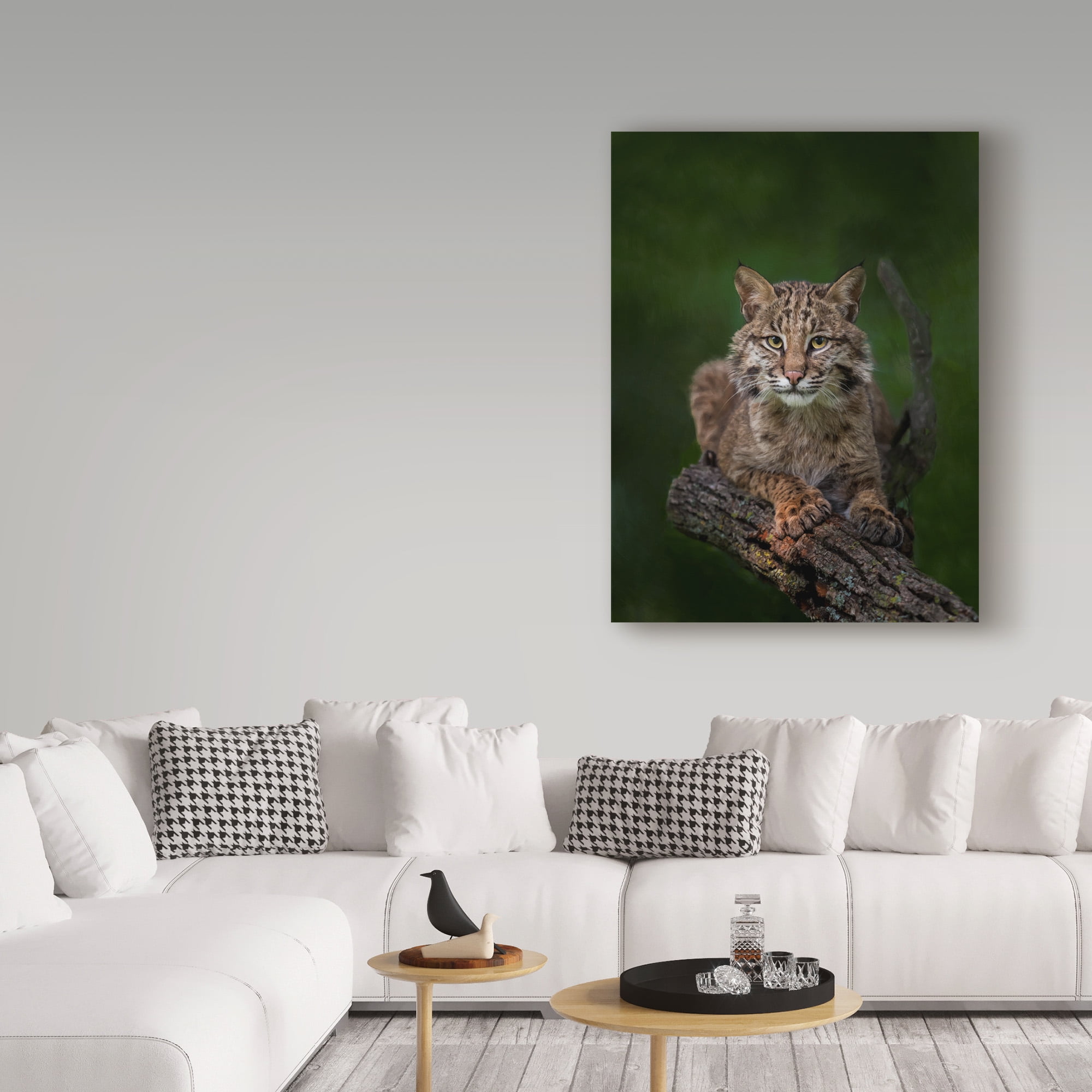 Trademark Fine Art 'Bobcat Poses On Tree Branch 2' Canvas Art by Galloimages Online