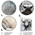 thumbnail image 3 of Designart "Grey Buffalo Majestic Profile painting" Animals Bison Metal Wall Art, 3 of 5