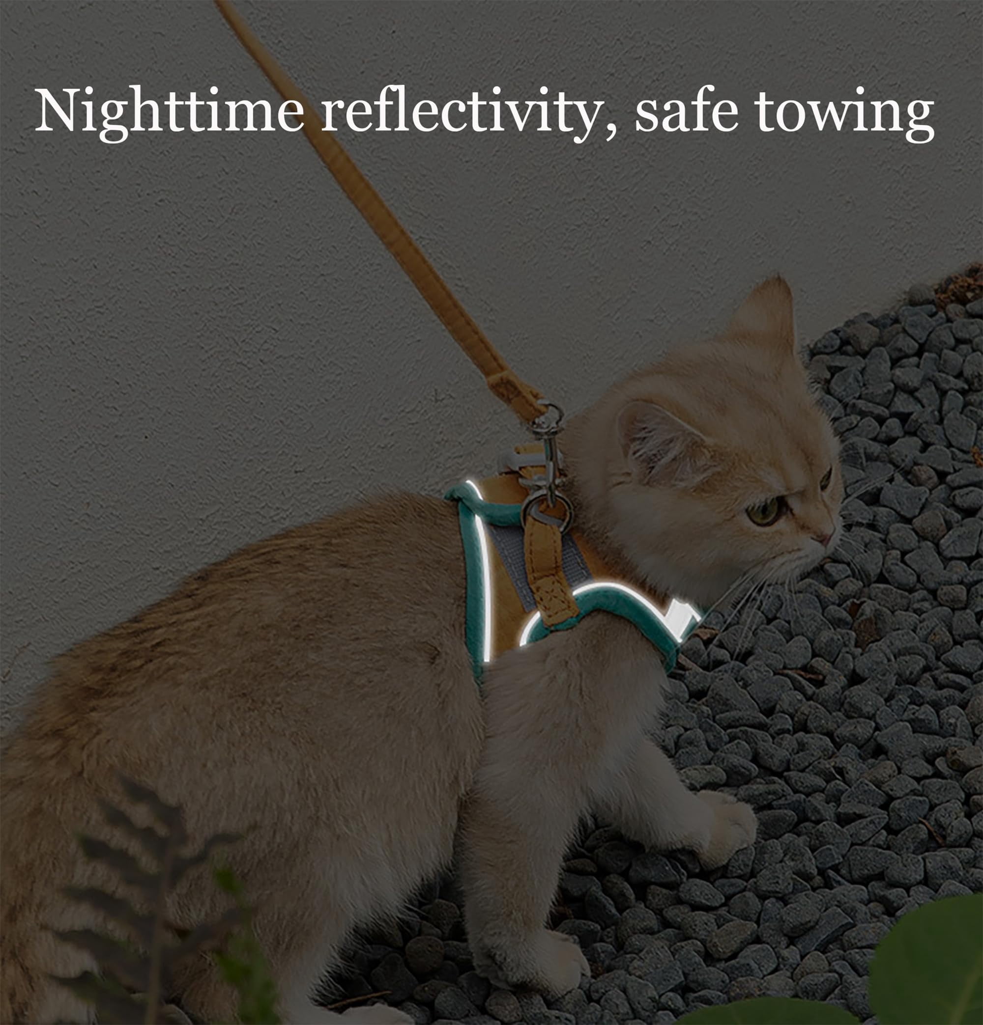 Pawras Cat Harness and Leash, Escape-Proof Vest Style Cat Harness and Leash, Breathable Soft Adjustable Escape Proof Cats Leash, Easy to Wear for Outdoor Walking(Blue, XL)