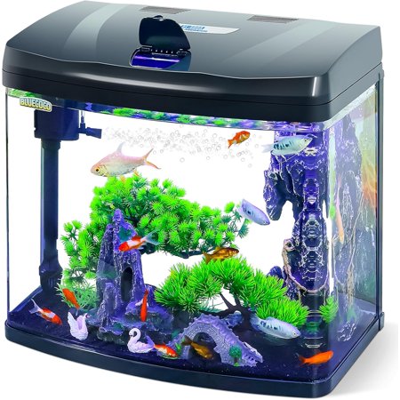 3 Gallon Glass Aquarium Starter Kit with Flip-Top Feeding Port for Betta Fish: Crystal Clear 360° Viewing, Eco-Cycle Filtration, Air Pump, and LED Lighting