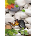 thumbnail image 1 of Cuadros Decorativos (DF3610) Kit de mosaico de punto de cruz de mariposa de pintura de diamante de taladro completo 5D DIY (w474) 30x40cm Ndcxsfigh Nuevos Originales, 1 of 1
