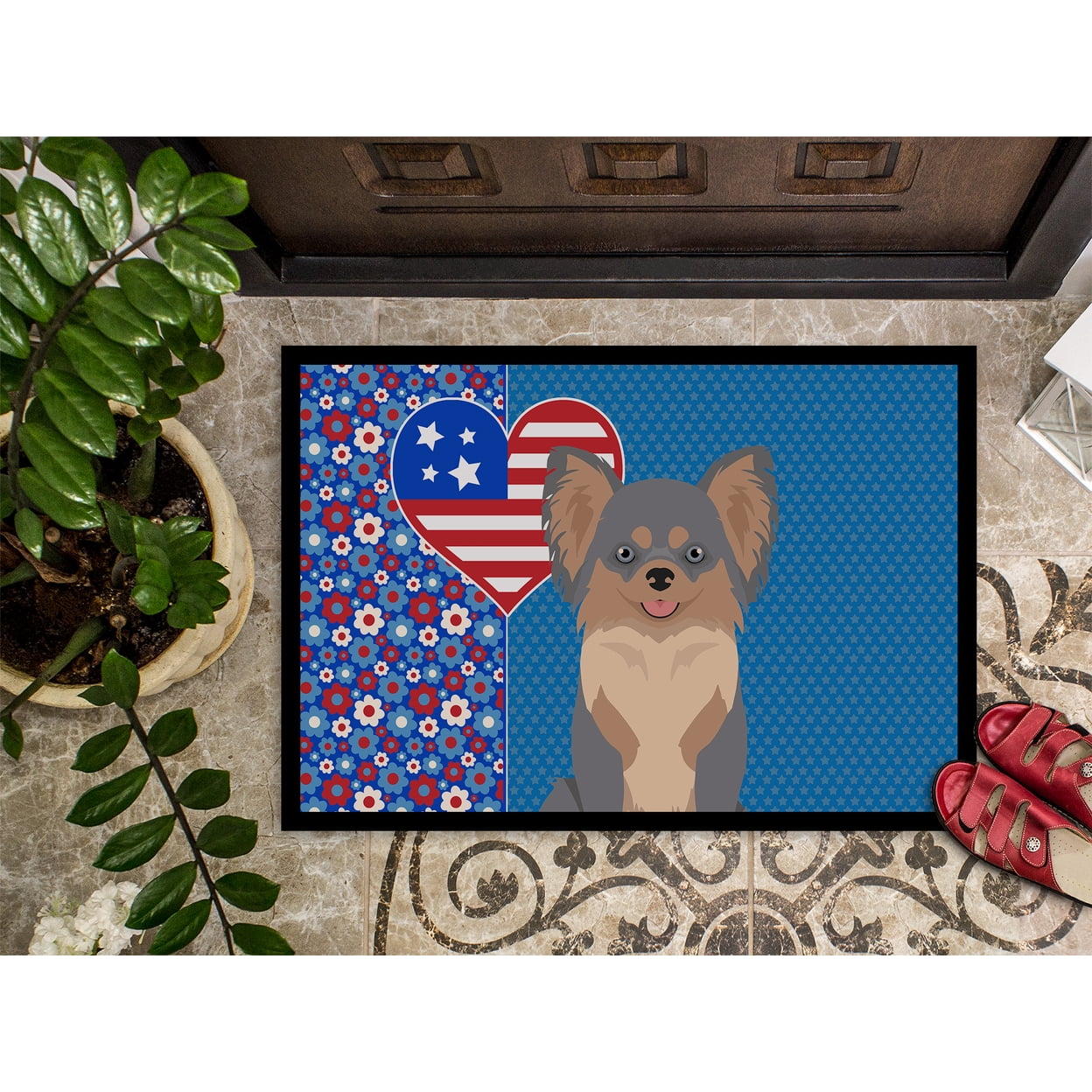 Longhaired Blue and Tan Chihuahua Indoor or Outdoor Mat 24x36 36 in x 24 in