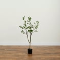 thumbnail image 7 of Nearly Natural 4ft. Minimalist Citrus Artificial Tree, Green, 7 of 7