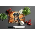 thumbnail image 3 of Carolines Treasures DAC1019LCB 15 x 12 in. Unisex Bernese Mountain Dog Fall Glass Cutting Board - Large, 3 of 5