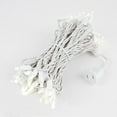 thumbnail image 2 of Novelty Lights 50 Light LED Twinkle Christmas LED Mini Light Set, Outdoor Curtain Fairy Wedding String Lights, Non-Connectable, Warm White, White White, 25 Feet, 2 of 7