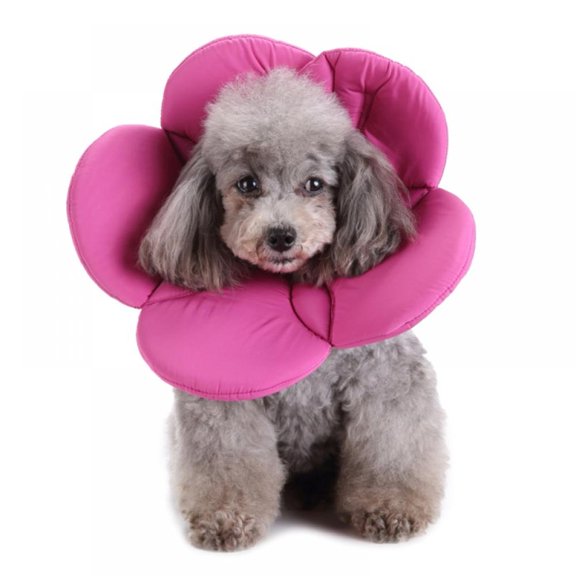 Prettyui Pet Cat Dog Flower Neck Collar Anti Bite Beauty Adjustable Protector Cover Ring Dog Accessories