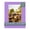 Pansy Purple, variant on Pansy Purple Picture Frame Mat for 8x10 Frames - Fits 5.5x8.5 Photos - 10 Mats