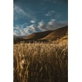 thumbnail image 2 of Mossholder, Tim 23x32 White Modern Wood Framed Museum Art Print Titled - Hillside and Grass, 2 of 4