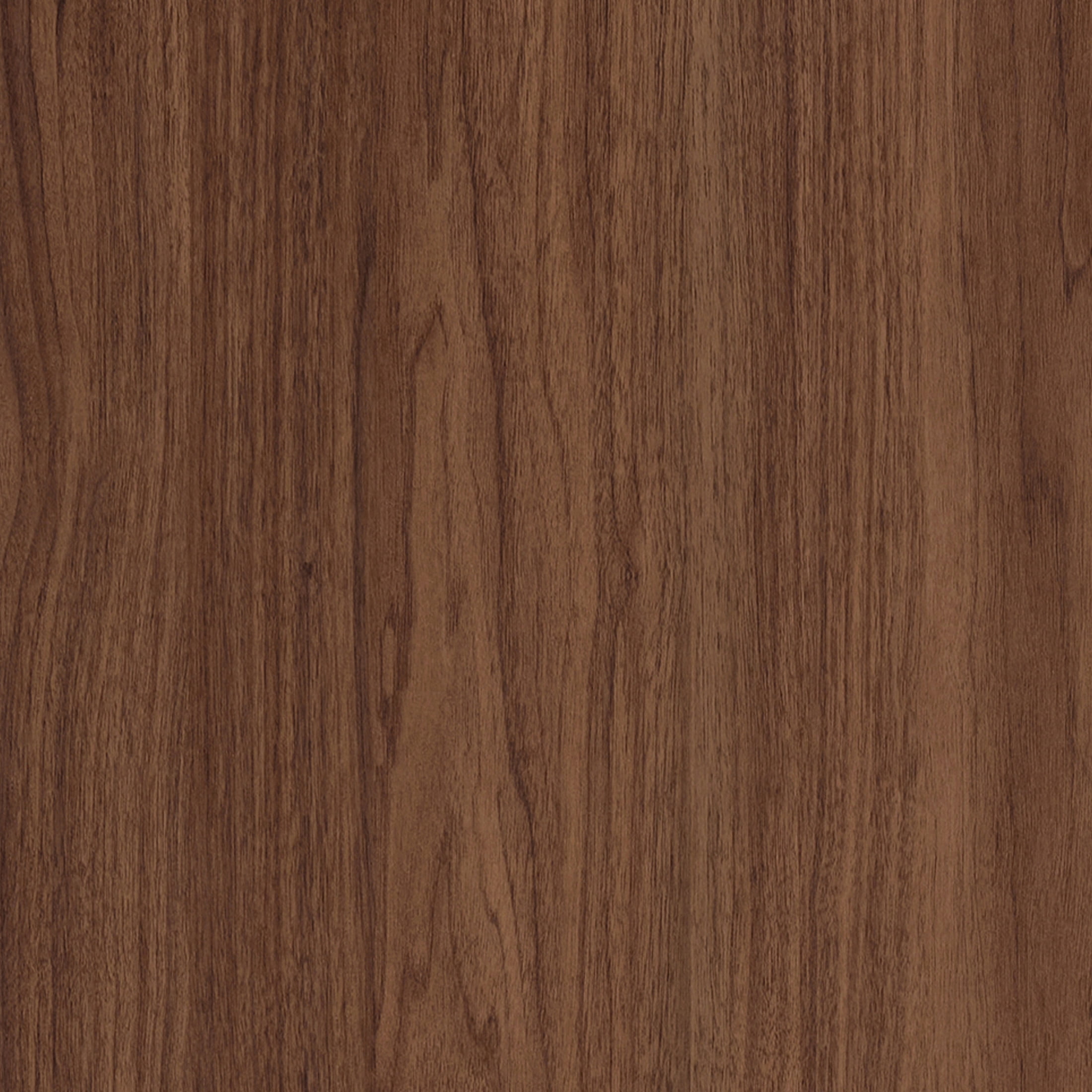 Evelyn&Zoe Modern/Contemporary 28" Wide Satin Walnut Accent Cabinet