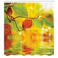 thumbnail image 3 of Ambesonne Nature Art Shower Curtain, Colorful Leaves Photo, 69"Wx84"L, Green Orange and Yellow, 3 of 3