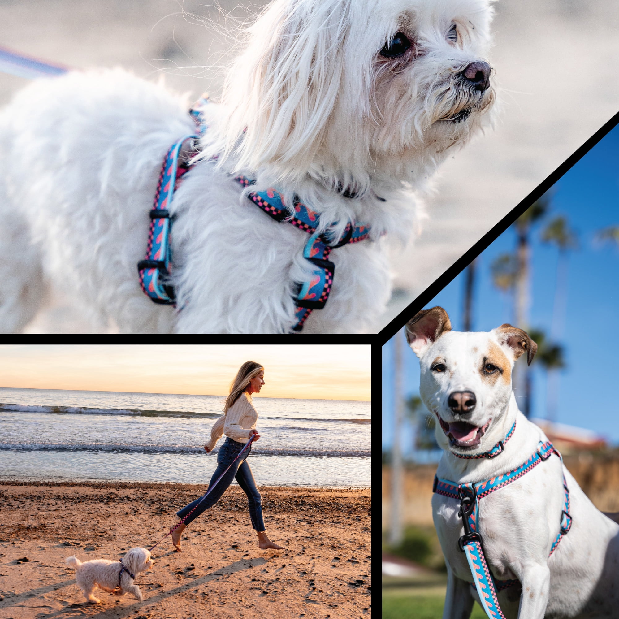 Wolfgang Heavy Duty Adjustable Dog Harness, Pull-Tested to Over 800 lbs for Walking & Training, BuenaOnda Print, Small
