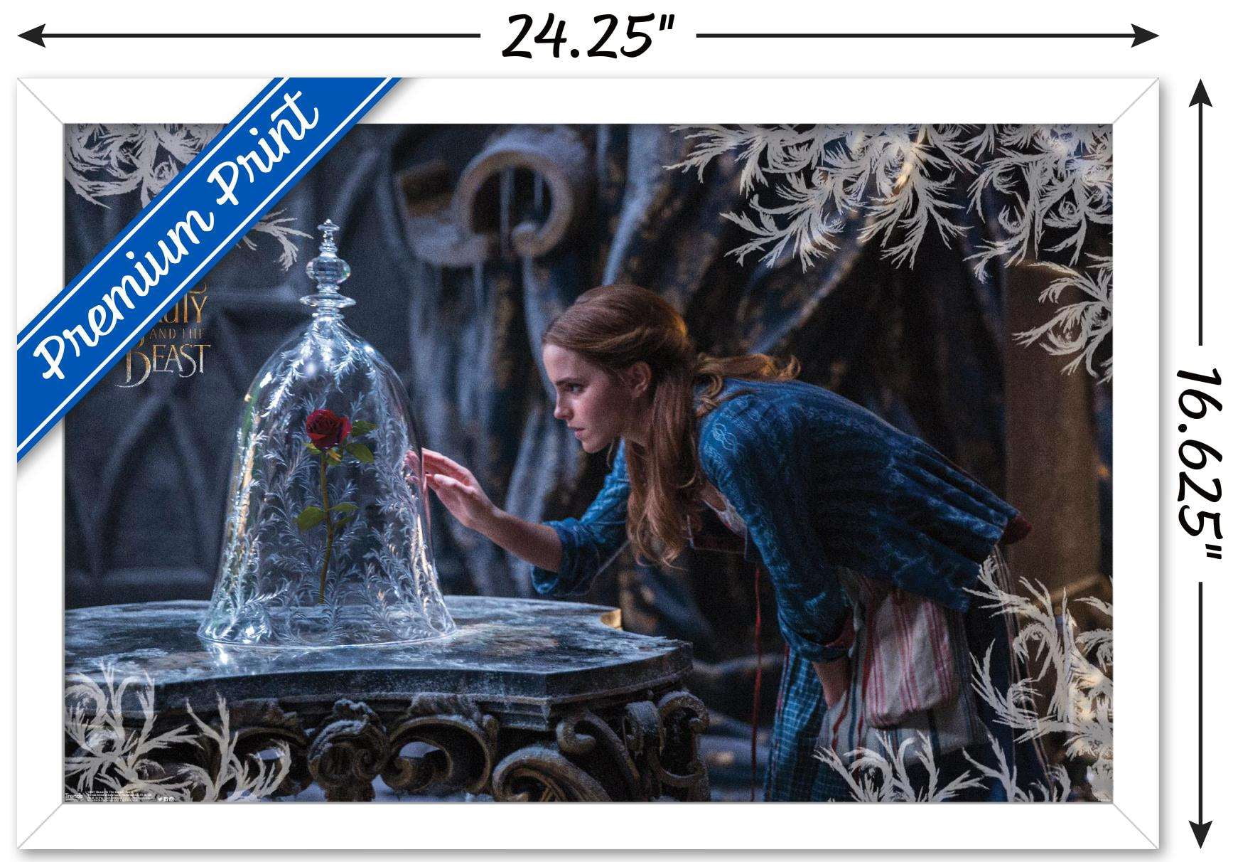 Disney Beauty And The Beast - Rose Wall Poster, 14.725" x 22.375", Framed