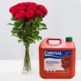 thumbnail image 2 of Chrysal Rose Solution d'Hydratation Pro - 1 Gallon, 2 of 3