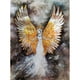 thumbnail image 1 of Pintura Taladro Diamante (DE9535) DIY 5D Angel Kit Dibujo Redondo Completo (G166 22 Color) 30x40cm FLhrweasw Nuevo, 1 of 1