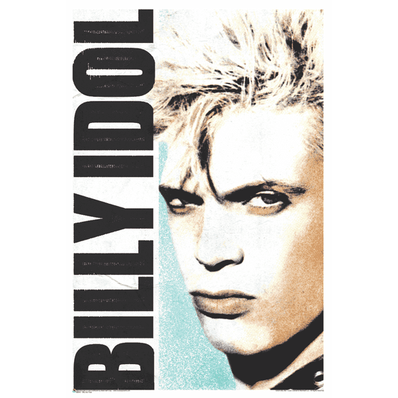 Billy Idol Face Poster 24x36 inches