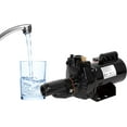 thumbnail image 5 of Red Lion PW-CJ75 Jet Pumps Pump Works, 3/4 Hp Convertilble Jet Pump, 115/230V, 5 of 9