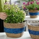 thumbnail image 5 of Macetero de algas marinas, cesta tejida a mano para plantas, maceta para interiores y exteriores, 5 of 5