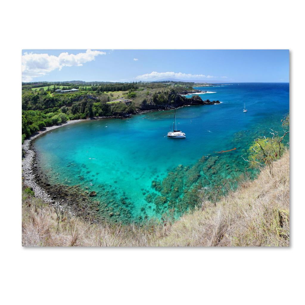 Trademark Fine Art "Honolua Bay" Canvas Art by Pierre Leclerc