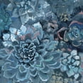 thumbnail image 2 of Marmont Hill Succulent Garden Painting Print on Wrapped Canvas, 2 of 5