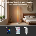 thumbnail image 3 of Elice Corner Floor Lamp, RGB LED Ambient Lighting with App & Remote Control, 200+ Dynamic Modes & Music Sync, 16 Million Colors, Fast Assembly, Modern Floor Lamp for Bedroom Living Room Gaming Room, 3 of 14