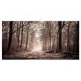 thumbnail image 2 of Sentier Forestier en Sépia - Paysage Photographie Toile Art Print, 2 of 3