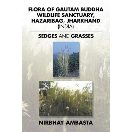 Flora of Gautam Buddha Wildlife Sanctuary, Hazaribag, Jharkhand (India) - (Best Places For Wildlife Photography In India)