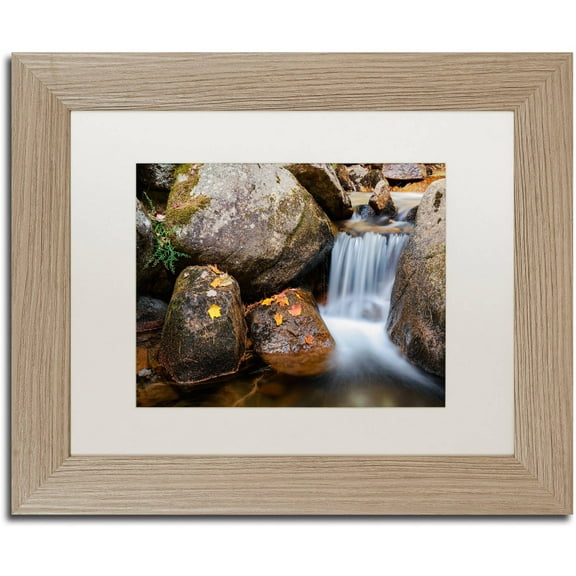 Trademark Fine Art "Jordan Stream" Canvas Art by Michael Blanchette Photography White Matte, Birch Frame