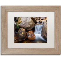 Trademark Fine Art "Jordan Stream" Canvas Art by Michael Blanchette Photography White Matte, Birch Frame