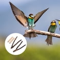 thumbnail image 2 of Shisuyan Parrot Perch Stand Natural Wood Parrot Perch Assorted Color 4Pcs 3.9X0.8X0.8in, 2 of 9