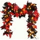 thumbnail image 2 of 68.89 Inch Halloween String Lights Battery Operated With Black Maple Leaves Decor For Yard PorchTable Wall Party Indoor And Outdoor Decorations, 2 of 6