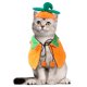thumbnail image 5 of 1 Juego de capas reversibles para mascotas, calabaza de Halloween, ropa de dos lados, capas para perros, Gato, joyería bonita de Halloween, 5 of 5